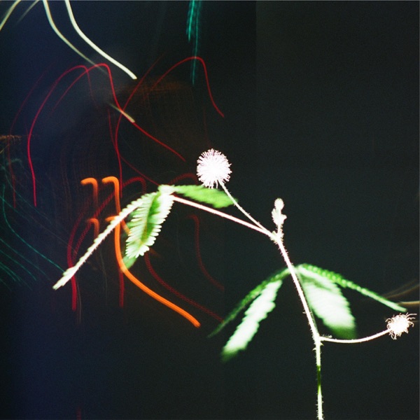 M A N E – Night Things… [Review] – Secret Eclectic