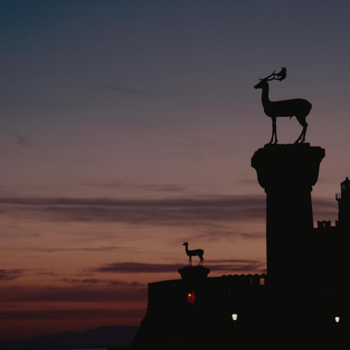 ‘We Will Grow’ – Interview with  filmmaker Areti&nbsp;Pagoulatou