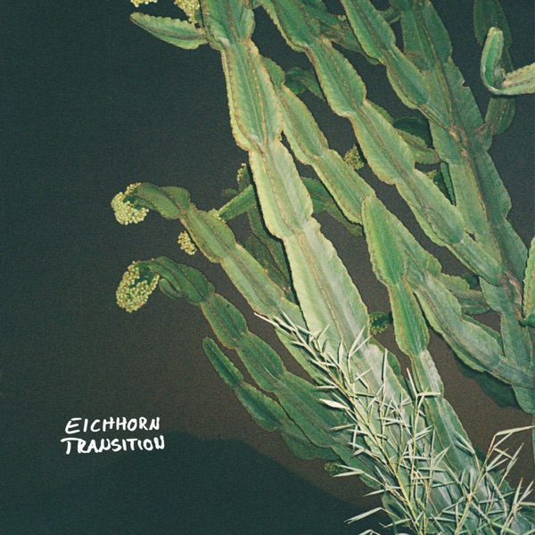 Eichhorn – Transition&nbsp;[Review]