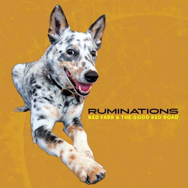 Ned Farr & The Good Red Road – RUMINATIONS [Album&nbsp;Review]